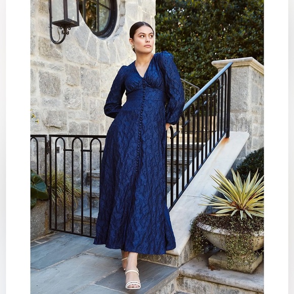 Abbey Glass Dresses & Skirts - NWT Abbey Glass Brooke Organza V-Neck Button Front A-Line Maxi Dress Navy Sz XS